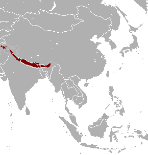 File:Naemorhedus goral range map.png