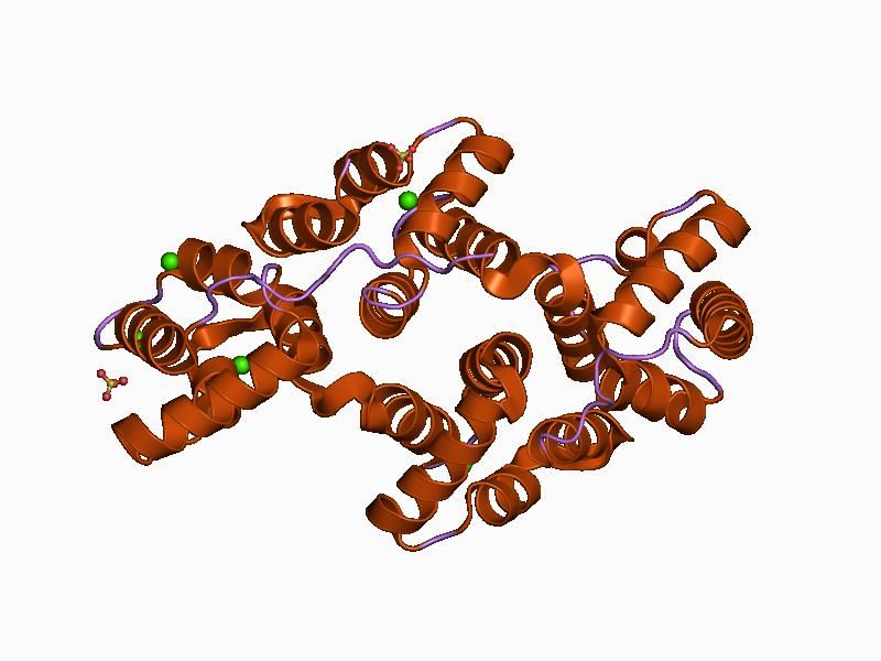 File:PDB 1avr EBI.jpg