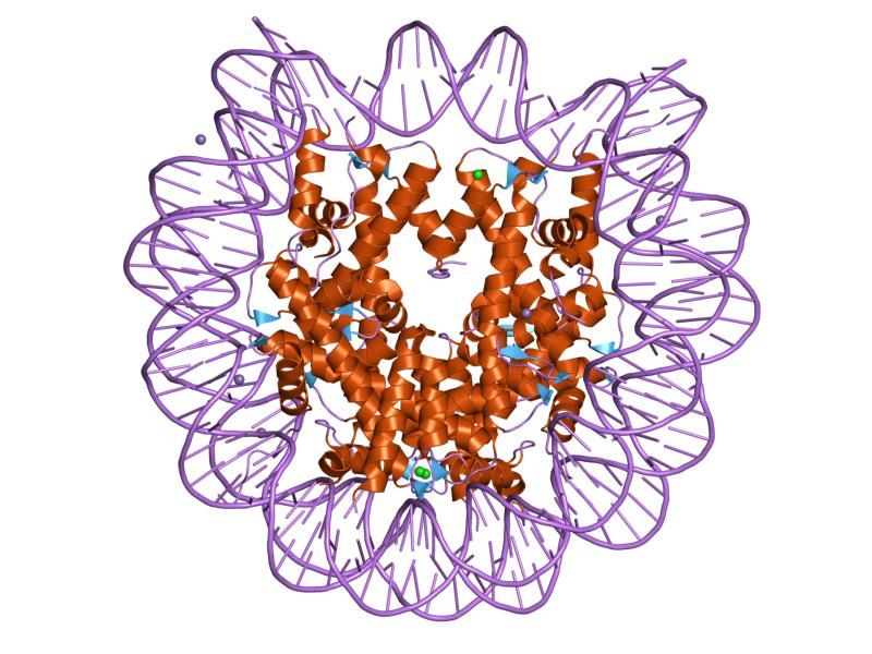 File:PDB 1kx4 EBI.jpg