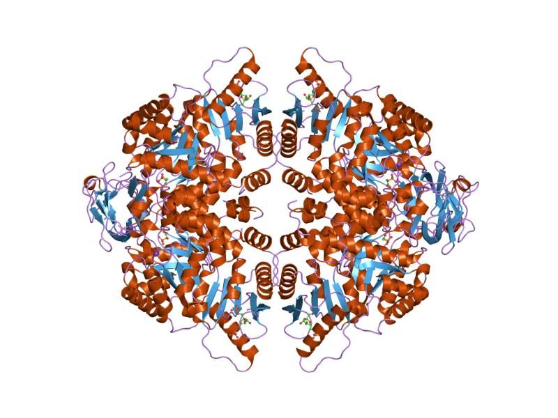 File:PDB 1liy EBI.jpg