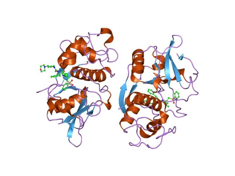 File:PDB 1m6d EBI.jpg