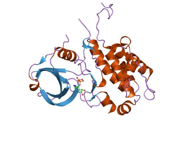 File:PDB 1ny3 EBI.jpg