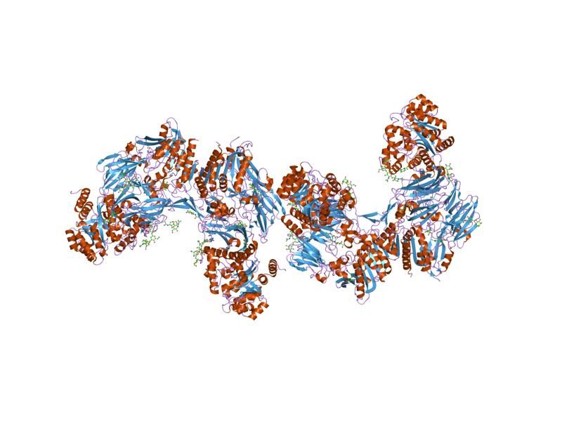 File:PDB 1w1i EBI.jpg