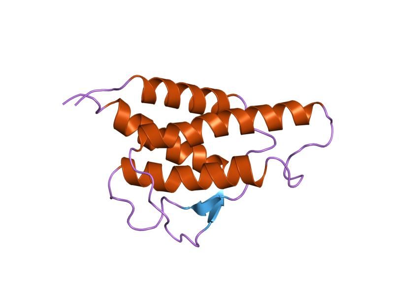 File:PDB 2cyk EBI.jpg