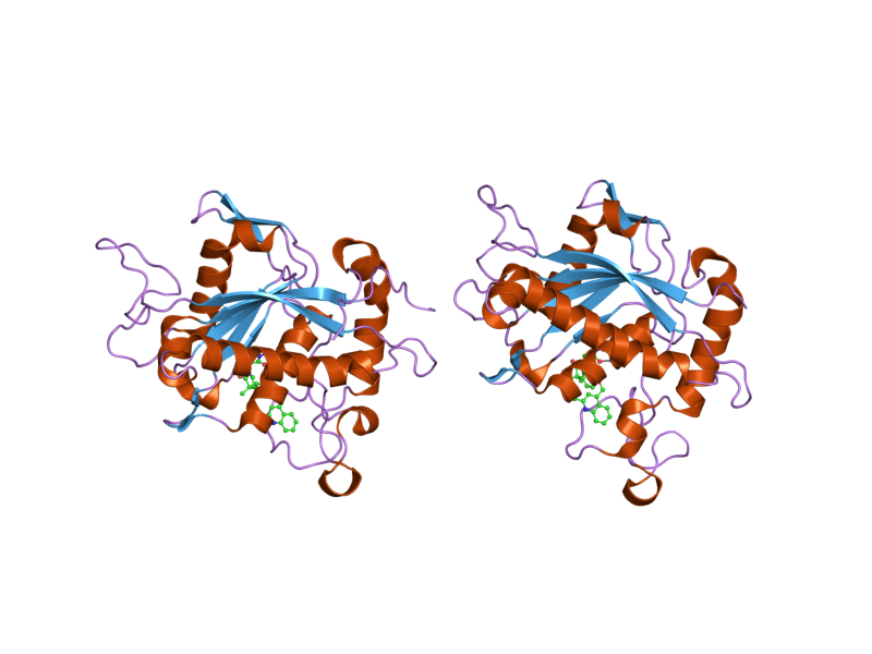 File:PDB 2fv5 EBI.png