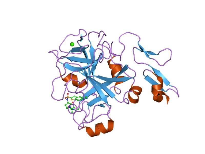 File:PDB 2j38 EBI.jpg