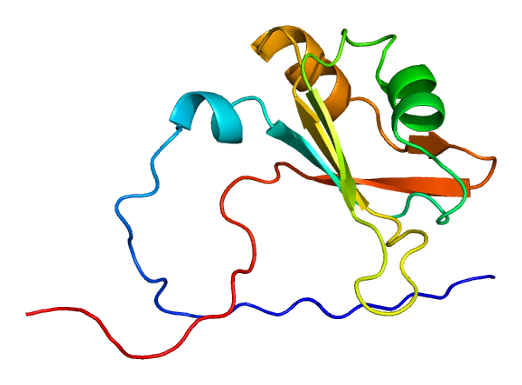 File:Protein HNRPA2B1 PDB 1x4b.png