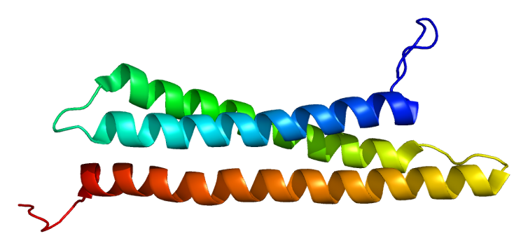 File:Protein STX12 PDB 2dnx.png