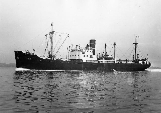 File:SS Fennia (II).jpg