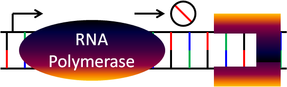 File:Synthetic polyamide mechanism a.png