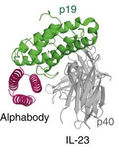 File:AlphabodyXRC.jpg