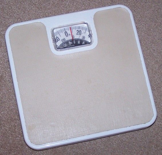 File:Bathroom Scale.jpg