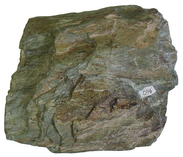 File:Chlorite schist.jpg