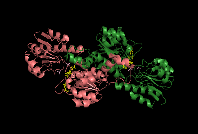 File:Crystal Structure of Glyoxylate Reductase.png