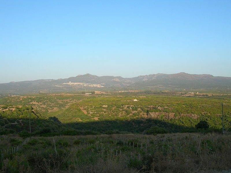 File:Cuglieri.jpg