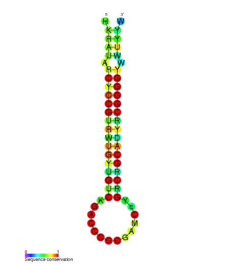 File:F6 secondary structure.jpg