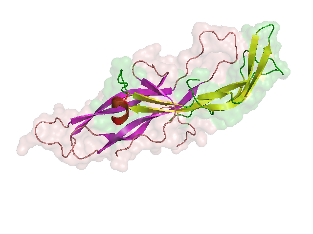 File:HCG structure.png