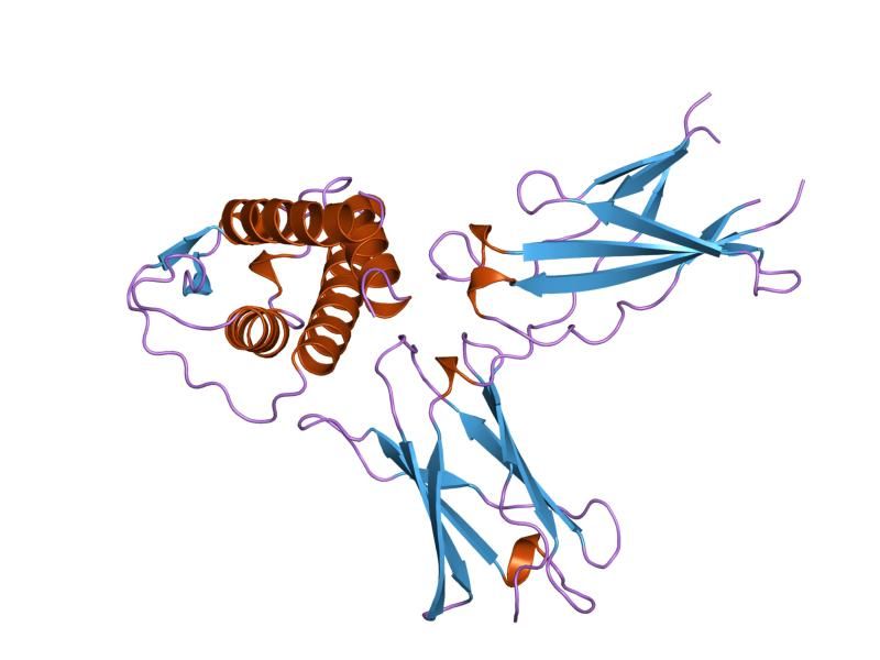 File:PDB 1iar EBI.jpg