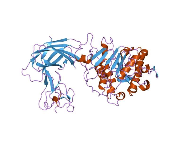 File:PDB 1n8s EBI.jpg