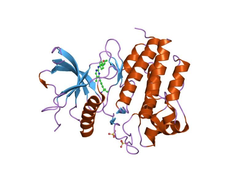 File:PDB 1oec EBI.jpg