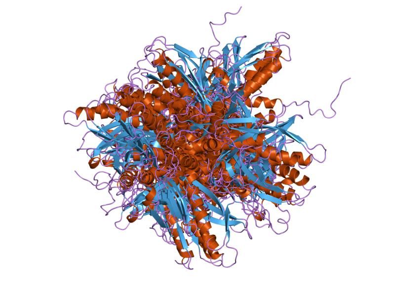 File:PDB 1q8k EBI.jpg