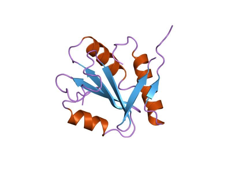 File:PDB 1qgv EBI.jpg