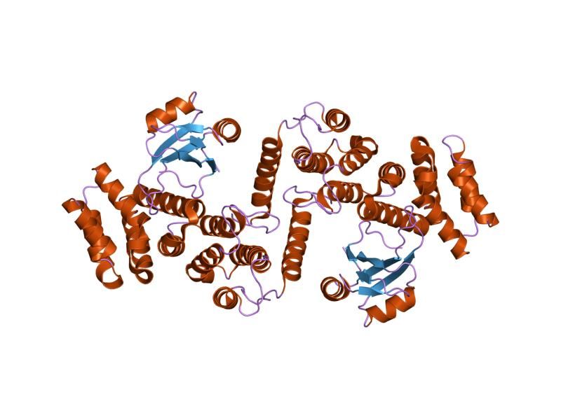 File:PDB 1uw4 EBI.jpg