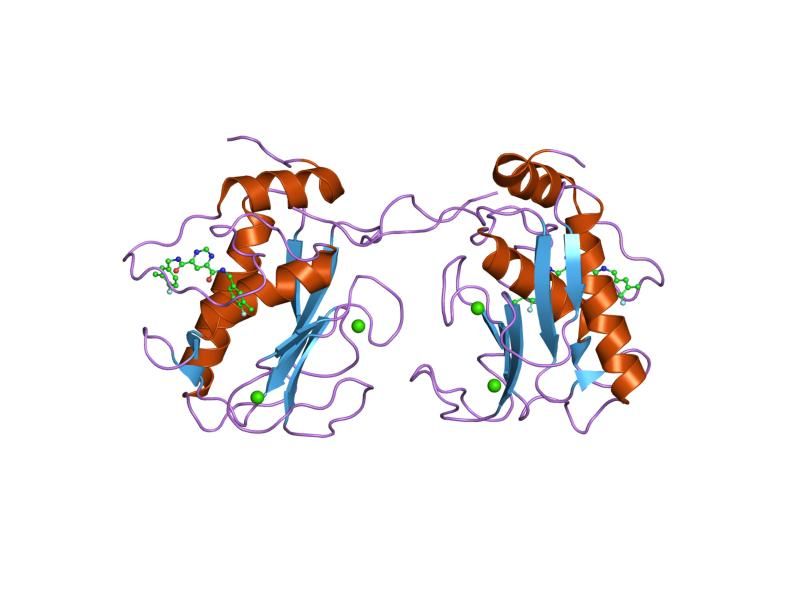 File:PDB 1xud EBI.jpg