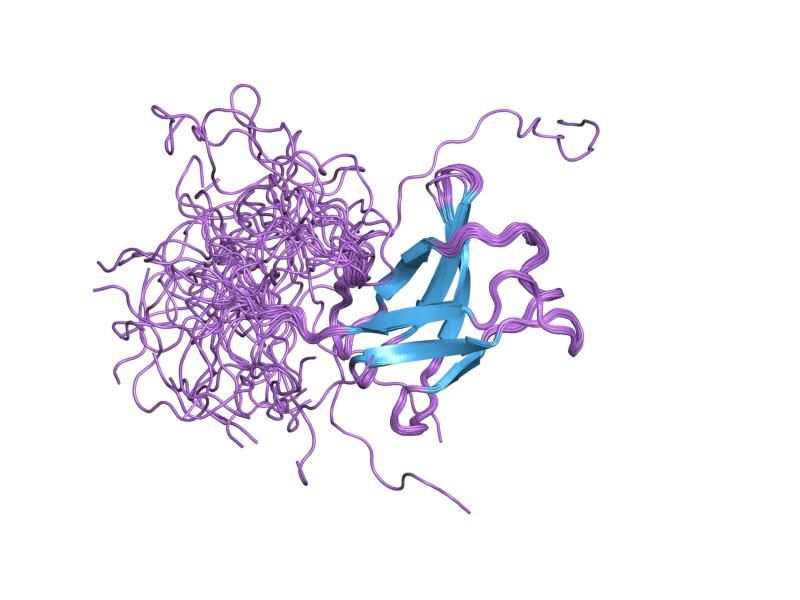 File:PDB 2dmc EBI.jpg