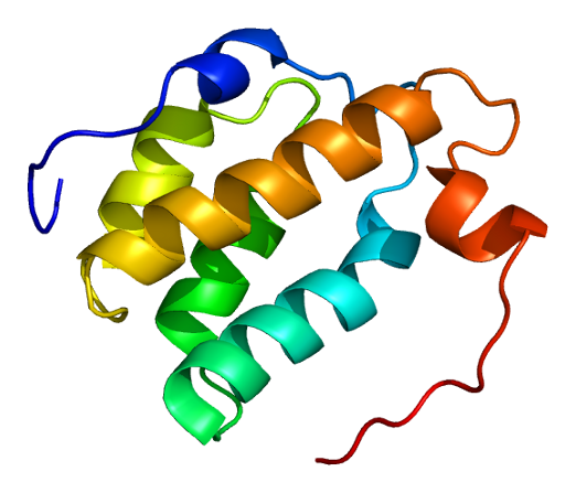 File:Protein SRRM1 PDB 1mp1.png