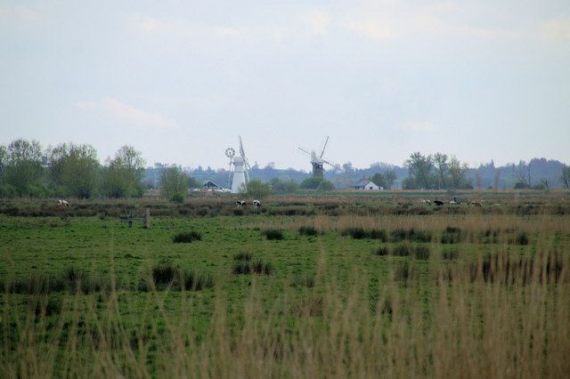 File:Thurne marshes - geograph.org.uk - 802588.jpg