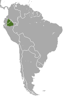 File:White-tailed Titi area.png