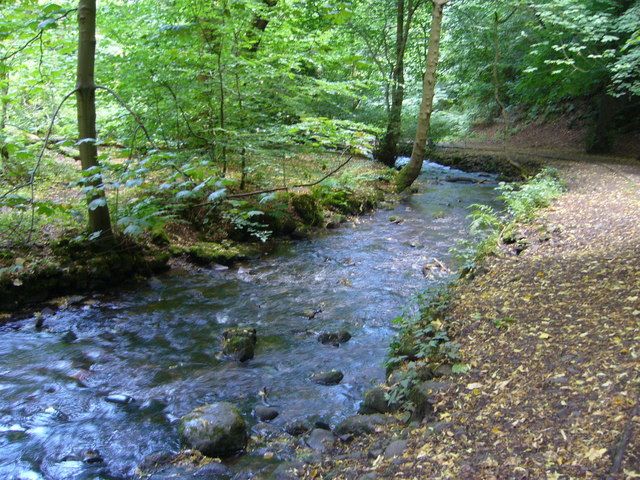 File:Braid Burn - geograph.org.uk - 1462478.jpg