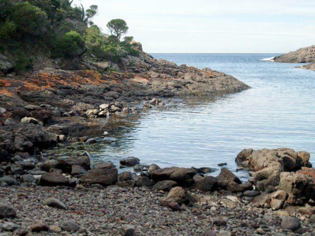 File:Bushrangers Bay - Bass Point.JPG