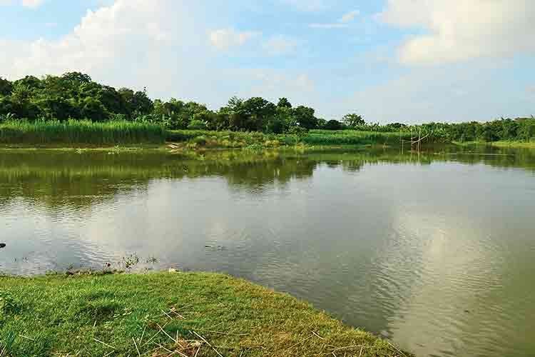 File:Churni near Pabakhali, Majhdia, Nadia.jpg