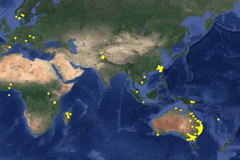 File:CuscutaaustralisDistributionMap.png