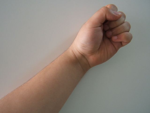 File:Fist 2.JPG