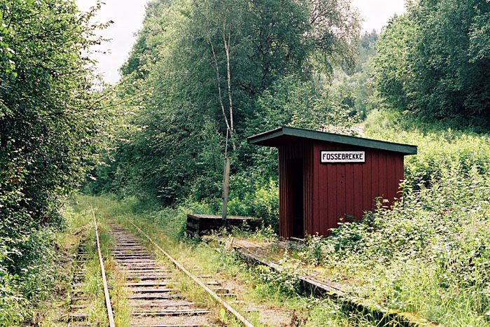 File:Fossebrekke Numedalsbanen.jpg