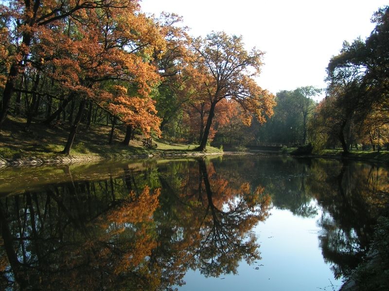 File:Mestsky park-jazierko 3.jpg