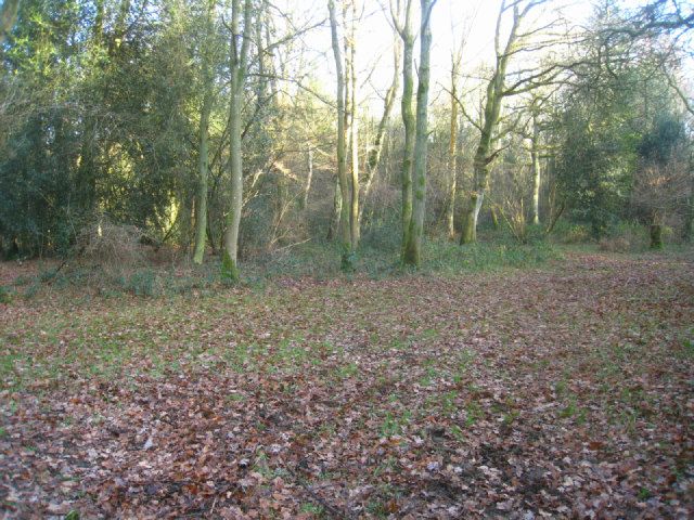 File:Odiham Common (geograph 2772464).jpg