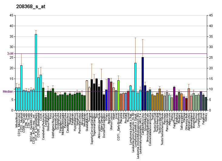 File:PBB GE BRCA2 208368 s at fs.png