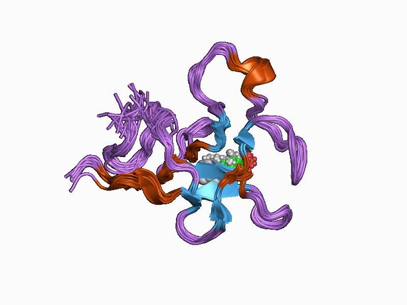 File:PDB 1b2i EBI.jpg