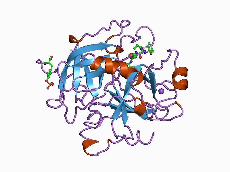 File:PDB 1bb0 EBI.jpg