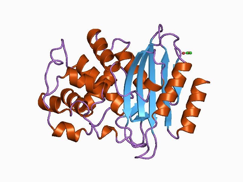 File:PDB 1bsg EBI.jpg