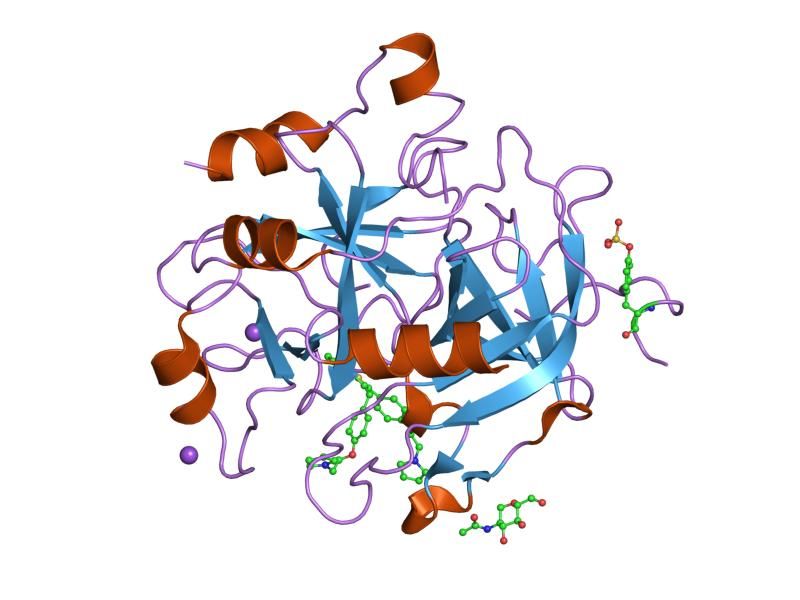 File:PDB 1d3q EBI.jpg