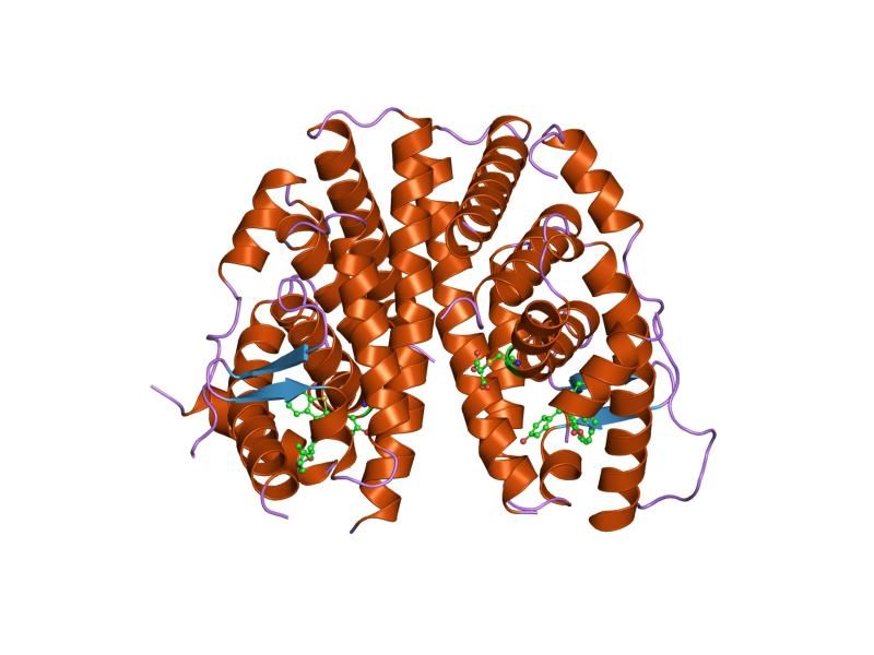 File:PDB 1err EBI.jpg