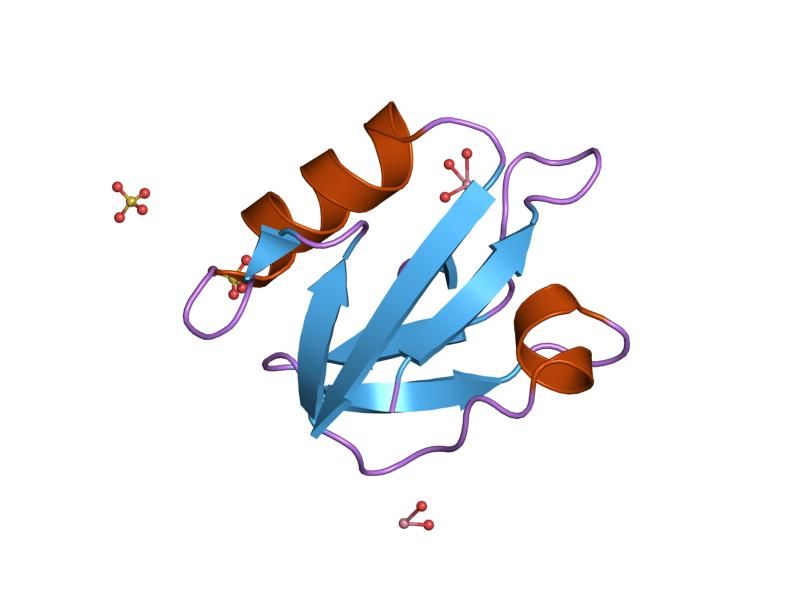 File:PDB 1obx EBI.jpg