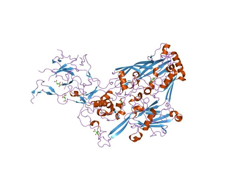 File:PDB 1p2z EBI.jpg