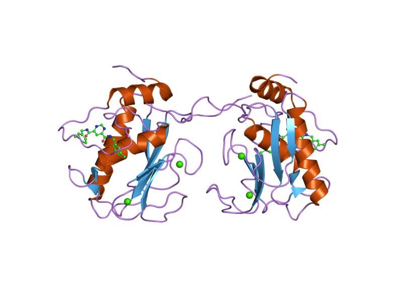 File:PDB 1xuc EBI.jpg