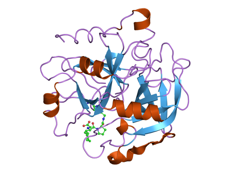 File:PDB 2anm EBI.png